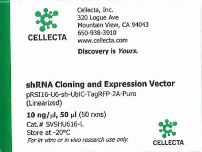 Cellecta shRNA Cloning and Expression Vector SVSHU616-L