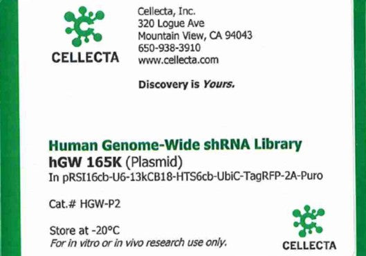 Cellecta Human Genome-Wide shRNA Library hGW 165K (Plasmid) HGW-P2